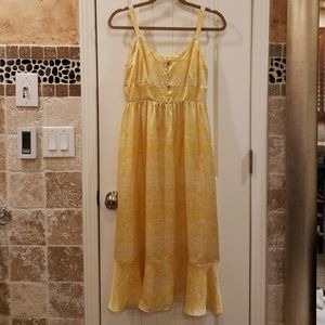 NWT gorgeous silk dress! Sz 6. Summer ready!